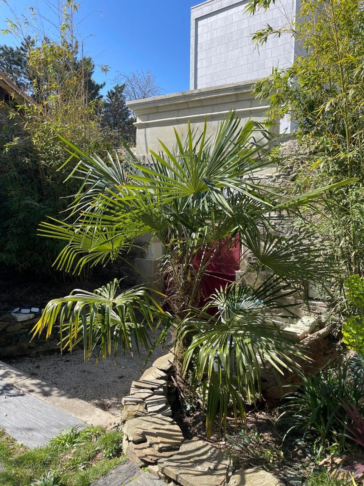 Villa Le pigeonnier de la plume à Nantes Extérieur photo